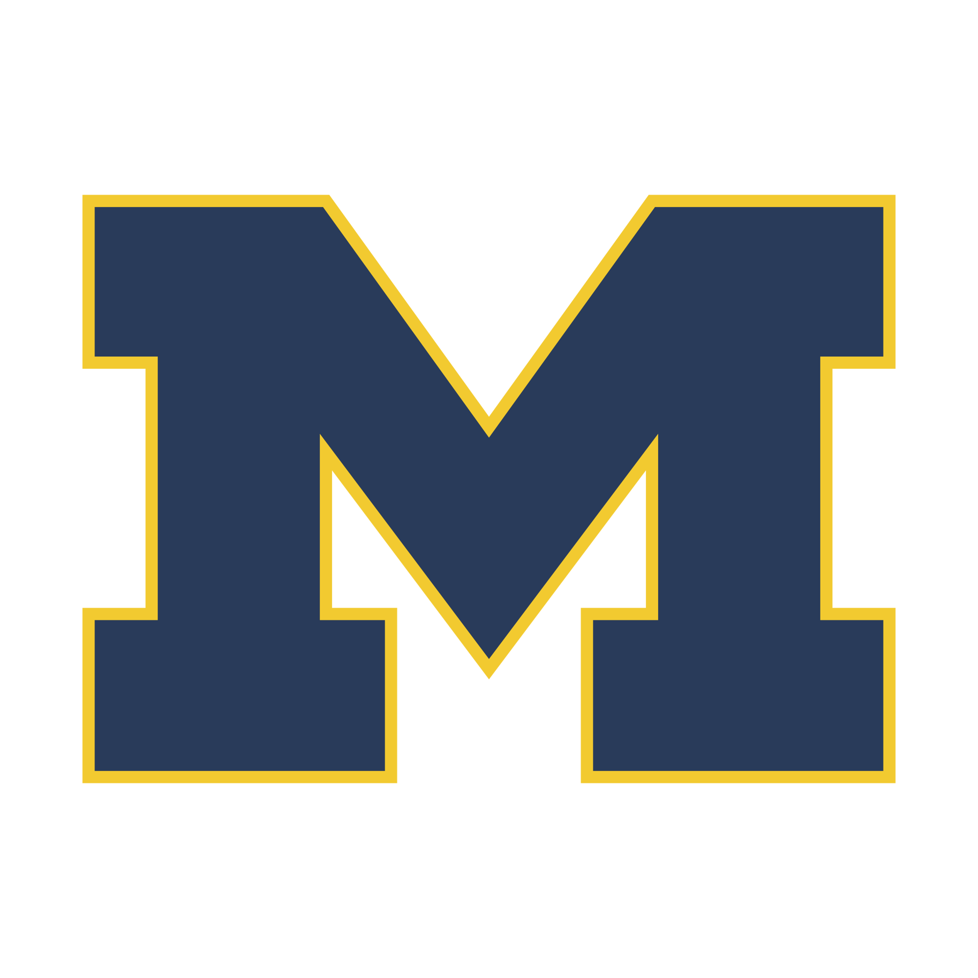 michigan-wolverines-1-logo-png-transparent